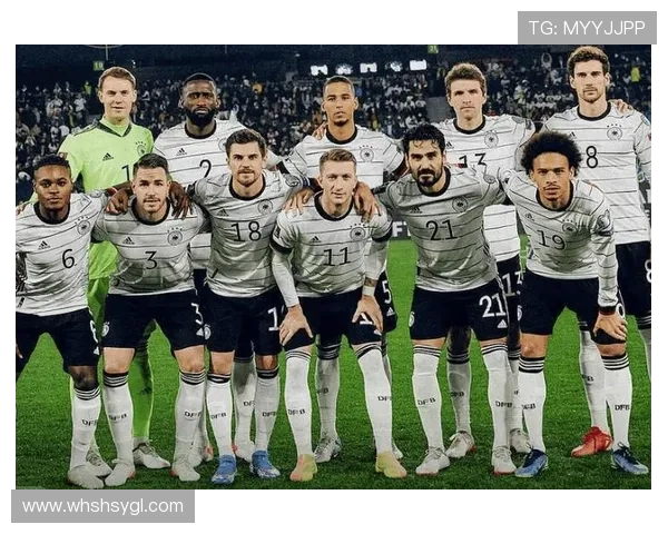 2016年法国与德国足球赛比分预测及分析展望 2016年法国与德国足球赛比分预测及分析展望