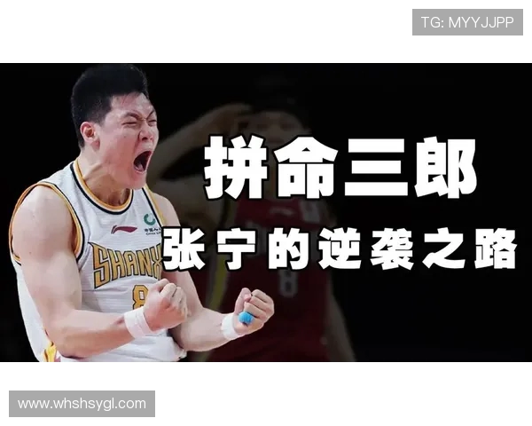 张宁：从平凡到卓越的奋斗之路与人生哲学探讨