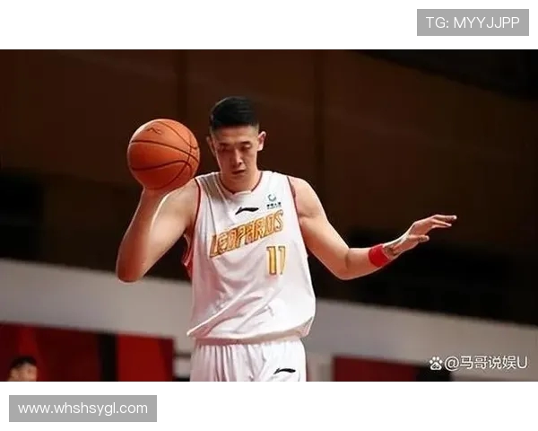 沈梓捷:从青年才俊到国际舞台的中国科技领军人物之路探索 沈梓捷:从青年才俊到国际舞台的中国科技领军人物之路探索