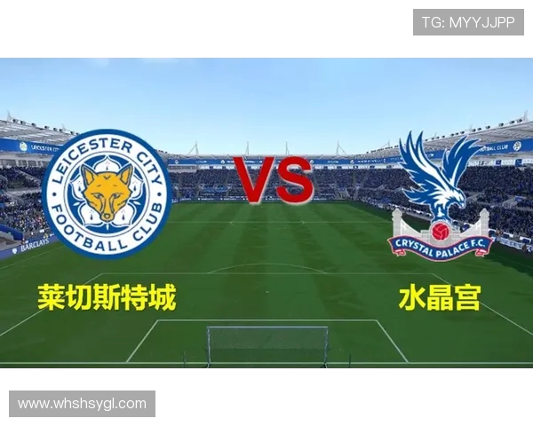水晶宫主场迎战莱斯特城期待精彩对决双方争夺英超宝贵积分