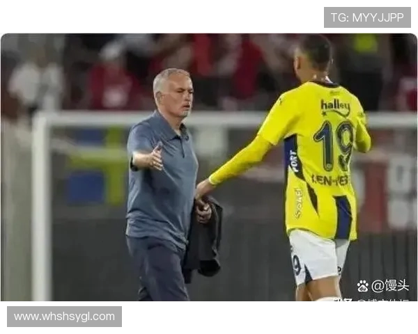 费内巴切与加队激战正酣争夺胜利的关键时刻分析与展望