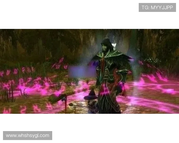 迈尼昂：从新星崛起到守护者的传奇之路与未来展望