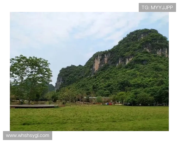 舞动人生的节奏与梦想王强的街舞故事与心路历程 舞动人生的节奏与梦想王强的街舞故事与心路历程
