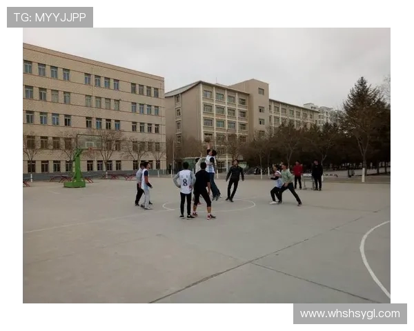 重庆篮球队运营分析：成功经验与教训的深度剖析与反思