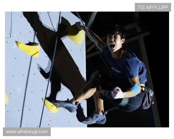 上海攀岩队领跑最新攀岩节奏TOP10榜单引发热议