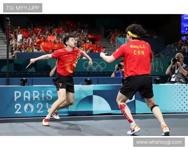 北京乒乓球队引领最新乒乓球配合TOP10榜单精彩表现