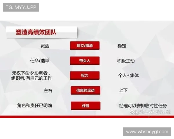 广州羽毛球队在冠军赛中的卓越表现与团队力量分析