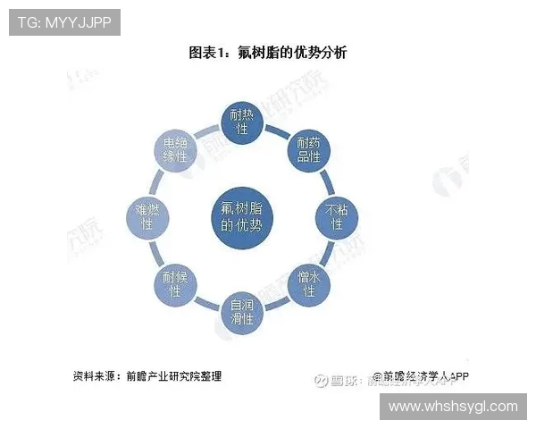 成都极限运动队的技术探讨与发展前景分析
