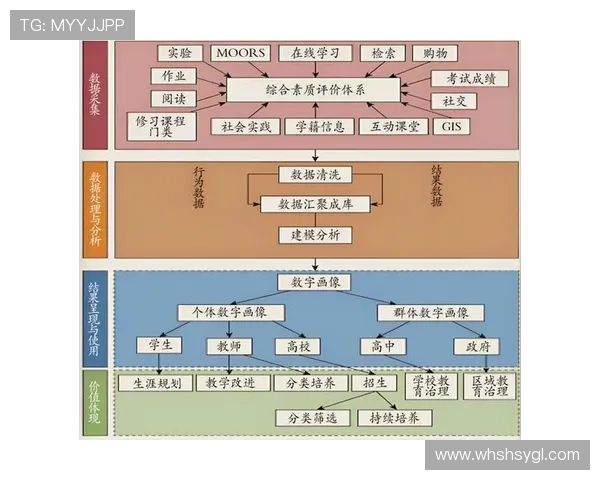 探索上海极限运动队的运营模式与发展潜力的深度解析