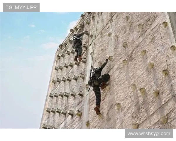 攀岩耐力的挑战与突破：北京攀岩队的训练与成长之路