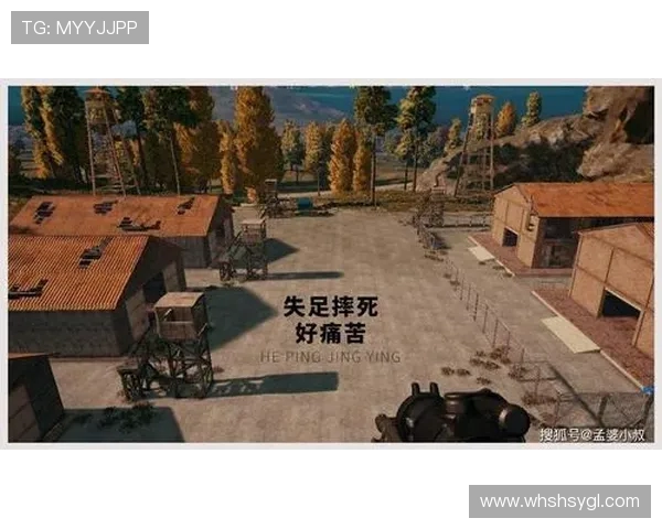 深度对话：探索赵芳在和平精英中的成长与人生哲学